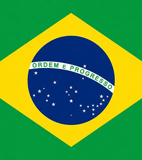 flag-bra-1x1_edited.jpg