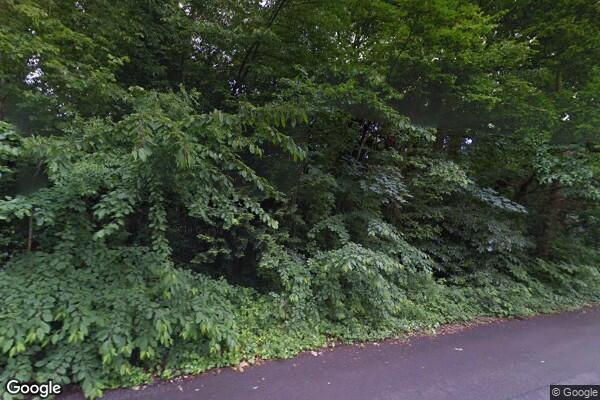Thumbnail: 0769 | Roehampton and Putney Heath