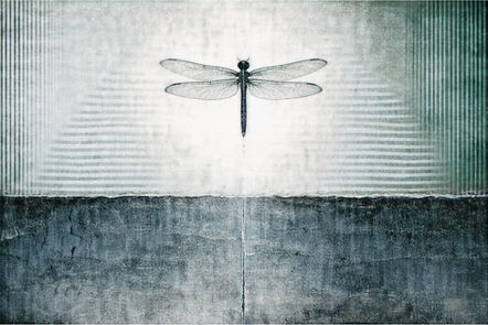 Libelle mit ausgebreiteten Flügeln vor strukturierter, grau-grüner Wand