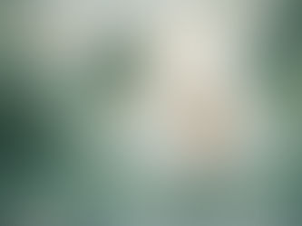 Person steht still im Wasser und blickt in eine ruhige Landschaft – symbolisches Bild für inneres Erleben und Gefühle