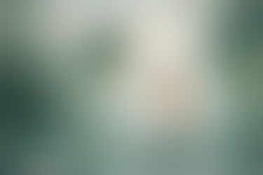 Person steht still im Wasser und blickt in eine ruhige Landschaft – symbolisches Bild für inneres Erleben und Gefühle