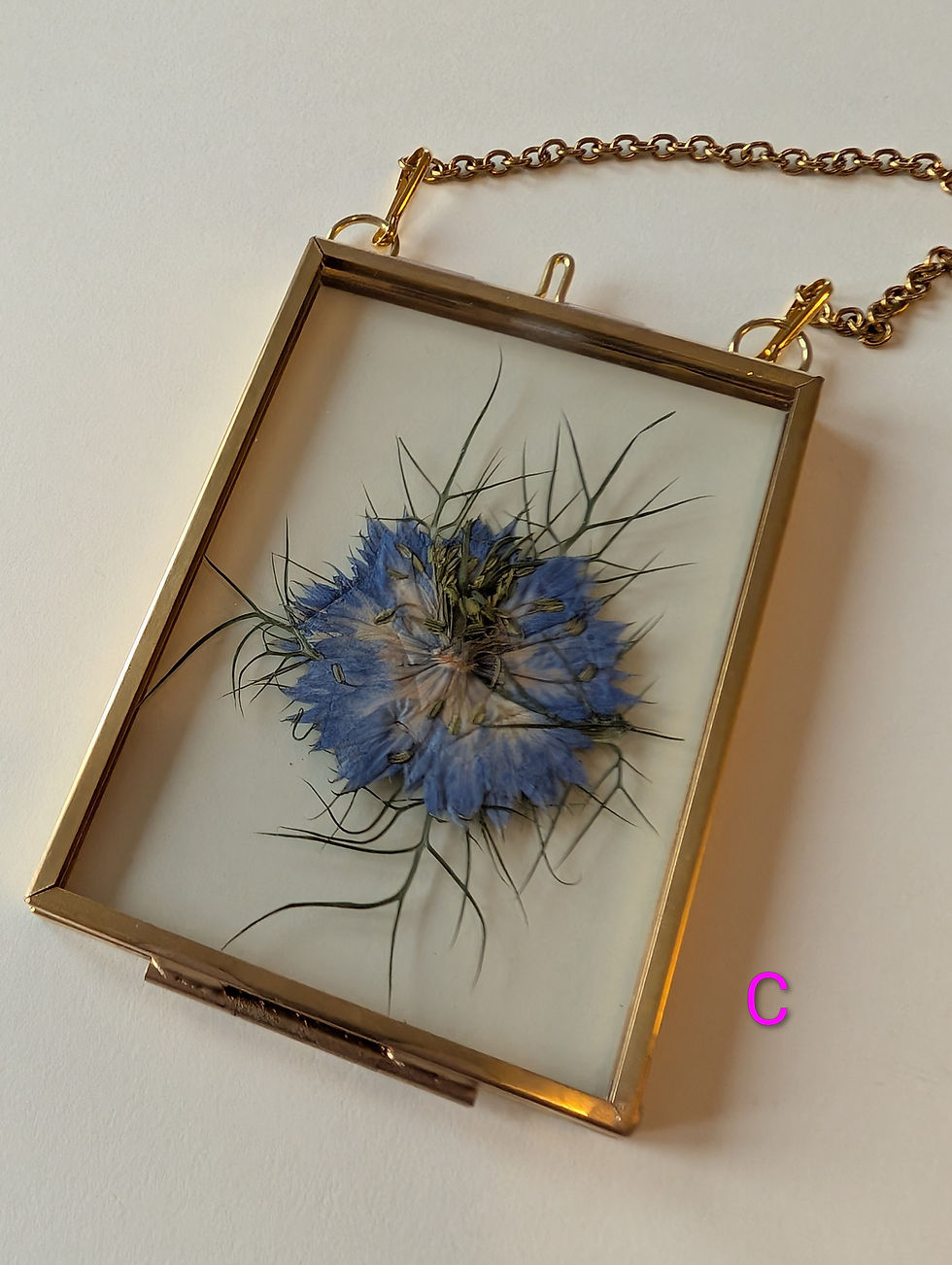 Thumbnail: Mini Pressed Flower Frames