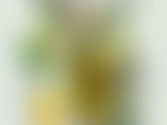 Yeşil Zeytin: Sağlığınıza ve Sofranıza Yeşil Işık Yakın!