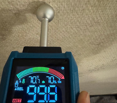 12 Leckortung & Troknung.jpg