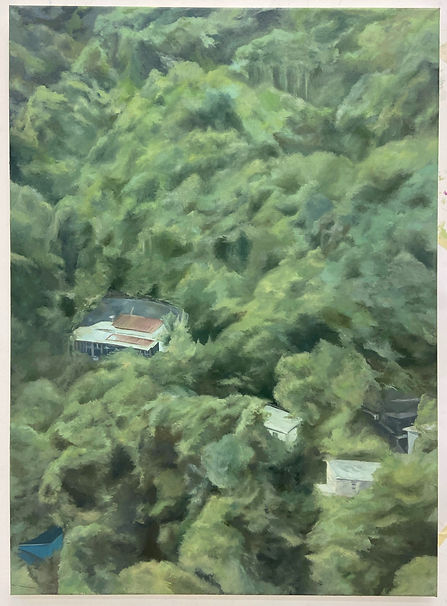 Snapseed 3_edited.jpg