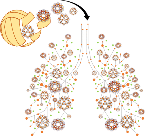 images_medium_am0c07356_0004.gif