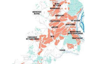 Harvest 2021 in Sancerre: a (not so) small year in volume and some good surprises.