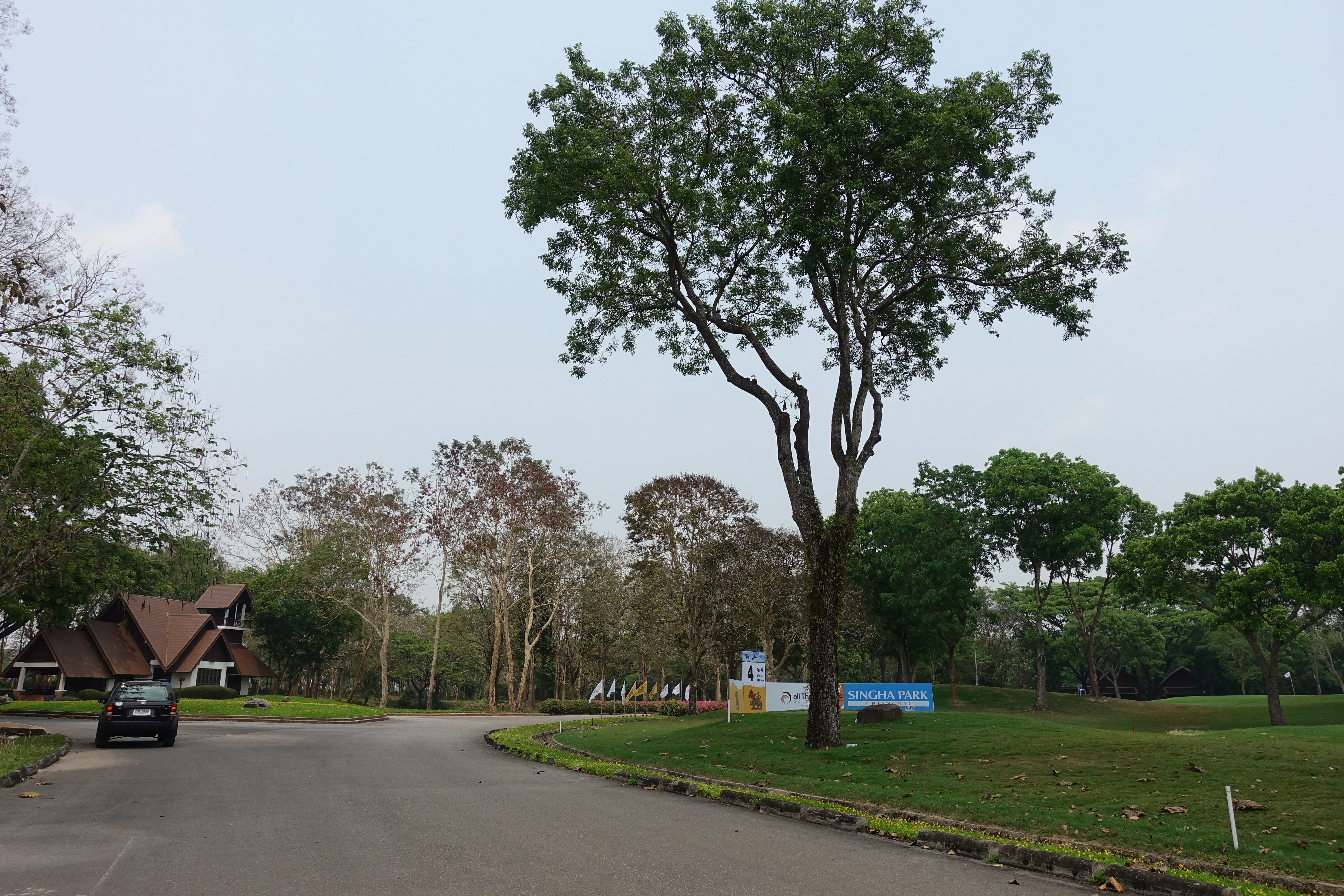 DSC01919