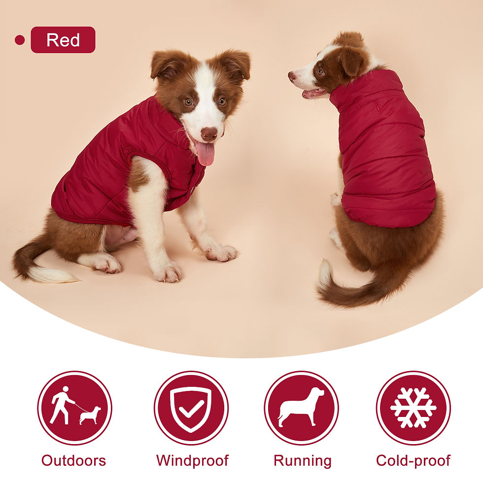 Thumbnail: Winter Dog Clothes Outdoor Cold Proof Warm Dog Jacket with Fleece Cotton Lining 