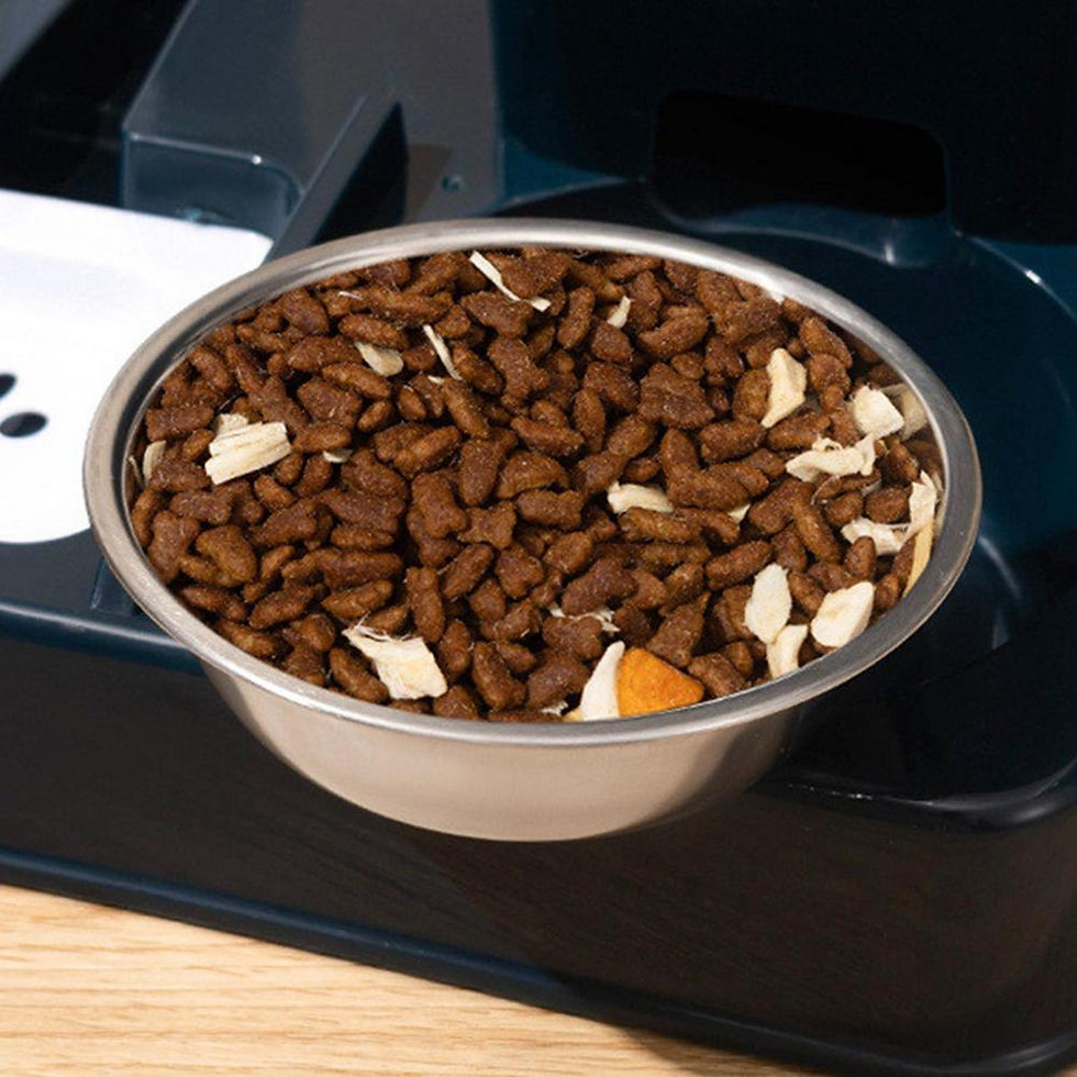 Thumbnail: 2 in 1 Automatic Pet Feeder Cat Feeder and Water Dispenser Portable Automatic Fe
