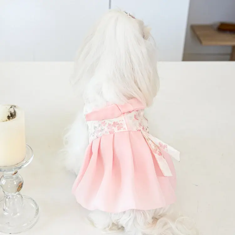 Thumbnail: Pet Clothing Dog Dresses Pet Dress Clothing Pet Cat Dog Teddy Dress Fashion for 