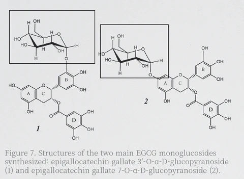 Thumbnail: Eyelash & Eyebrow Serum