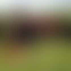 Jireh ministries at work.