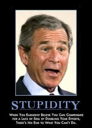 Stupid_bush
