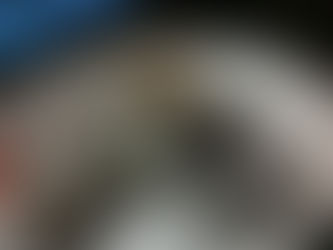 New York 2011, día 0