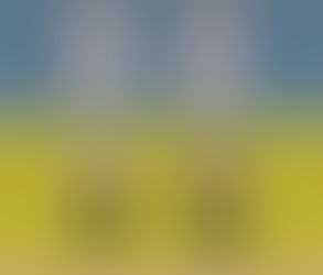 Por eso uso anteojos