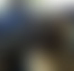 Y yo que creía que mi perro se parecía a Chewbacca…