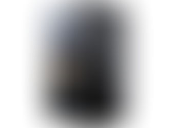 Review: the essential phone