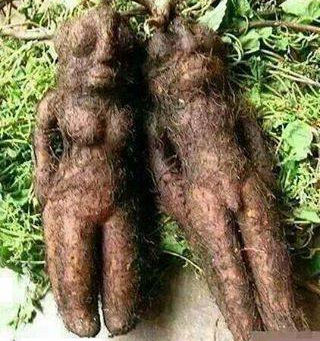 Tanda Kebesaran ALLAH SWT.