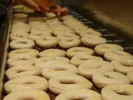 Photo of bagels being made