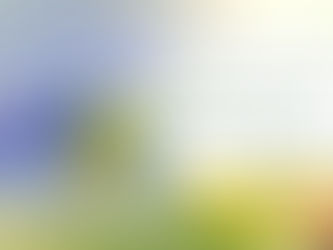 Beyond Spring Cleaning