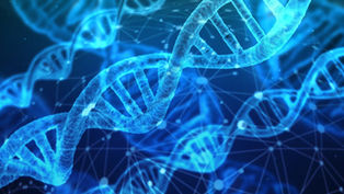 What are the differences between the sciences degrees at Oxford and Cambridge?