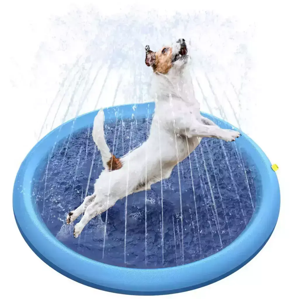 Piscina Divertida para Pets