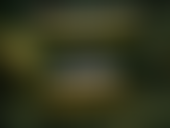 Harrison Reppart, Class of 2026. Ridgemont High School Basketball Game by Game, You Tube Highlights.