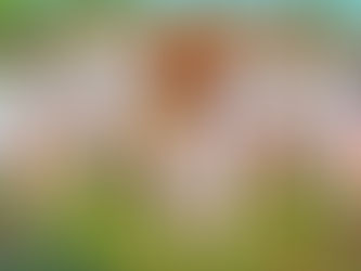 Media ON Point / Coach Graves / Uncle Graves / Mentor Graves / Mr. Graves / Messages to the Seniors