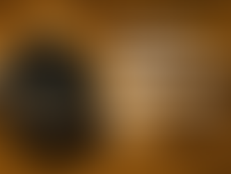 La nuova geografia dei tassi di interesse