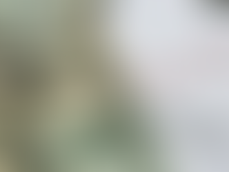 L’inflazione rallenta ma quali conseguenze per l’economia