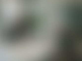 Mercato del lavoro: tra flessibilità e nuove competenze