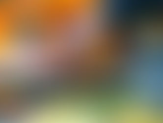 Istat, sale pressione fiscale e scende decifit/PIL