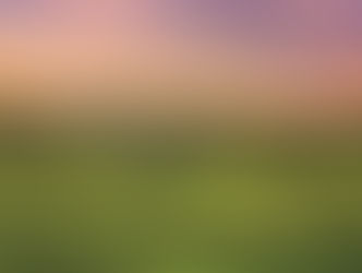 Agricoltura, avviato il partenariato sul piano strategico nazionale