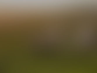 Zootecnia, gestire l’allevamento grazie all' Information Technology