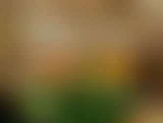 Terziario, servizi a +2,8% e commercio al dettaglio a +1,7%