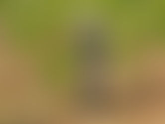 Lavoratori stagionali, la campagna Right for all seasons