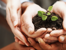 Non Profit, in Italia impiega 853.476 dipendenti