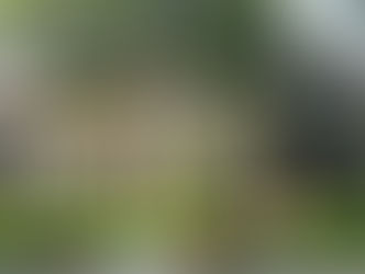 Abitazioni, nel primo trimestre aumentano i prezzi