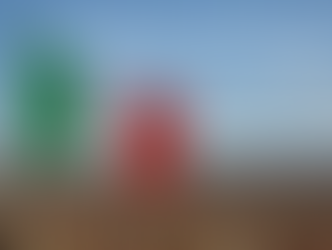 Investimenti e crescita: il ruolo dello Stato nell'economia italiana