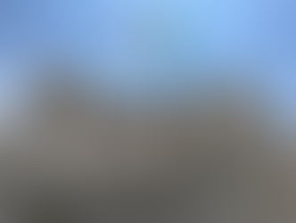 Debito pubblico: gestione del rischio in un contesto incerto