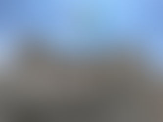 Debito pubblico: gestione del rischio in un contesto incerto