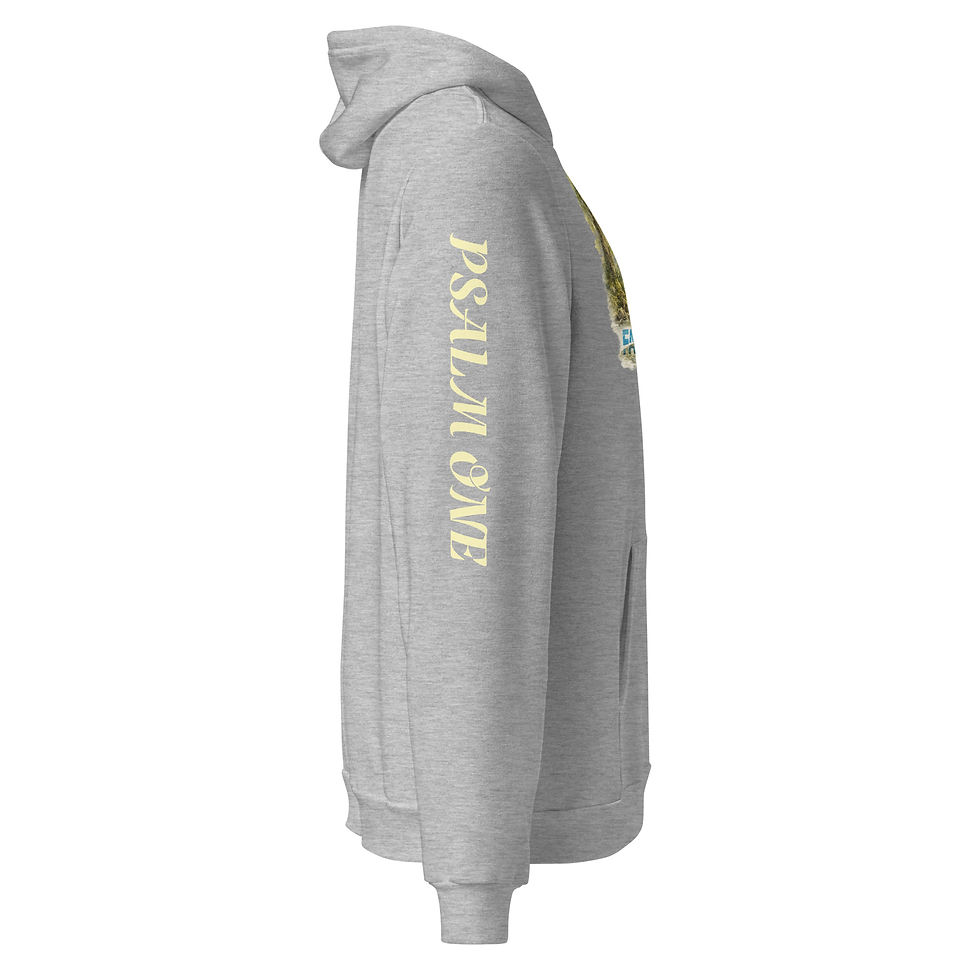 Thumbnail: Bella Canvas FaithWAY Psalm 1 Hoodie 