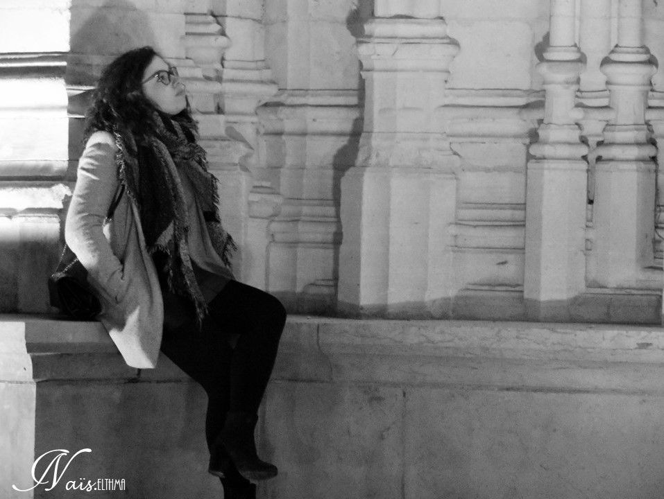 Bourg en Bresse Rhone Alpes 251119 (4)