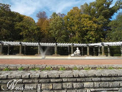 Parc de la tête d'or 5