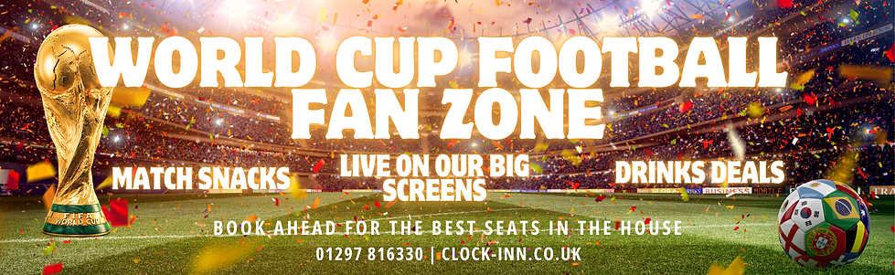 World Cup Football Fanzone Print Banner.png