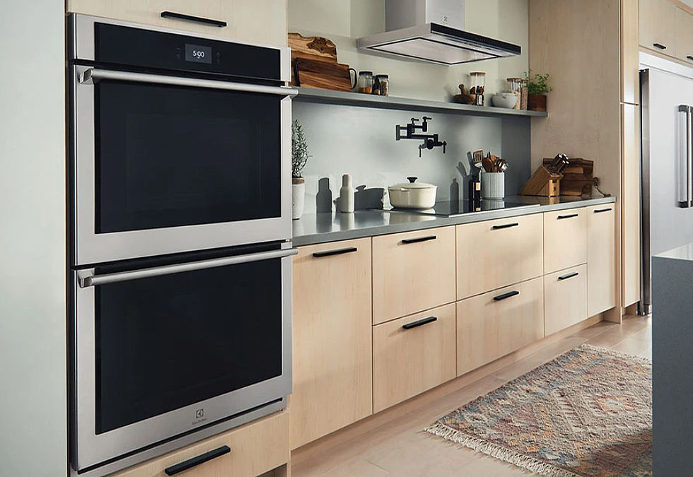 appliances-electrolux4.jpg