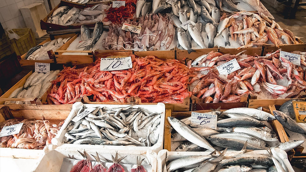 Fischmarkt im historischen Zentrum von Trapani mit traditionellen sizilianischen Händlern bei Sonnenaufgang
