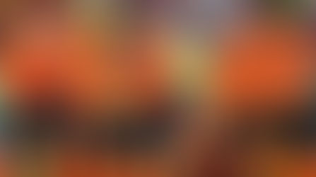 Hollanda Milli Takım Aday Kadrosu Açıklandı