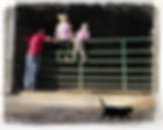 Silvermine Web Wix-143.jpg